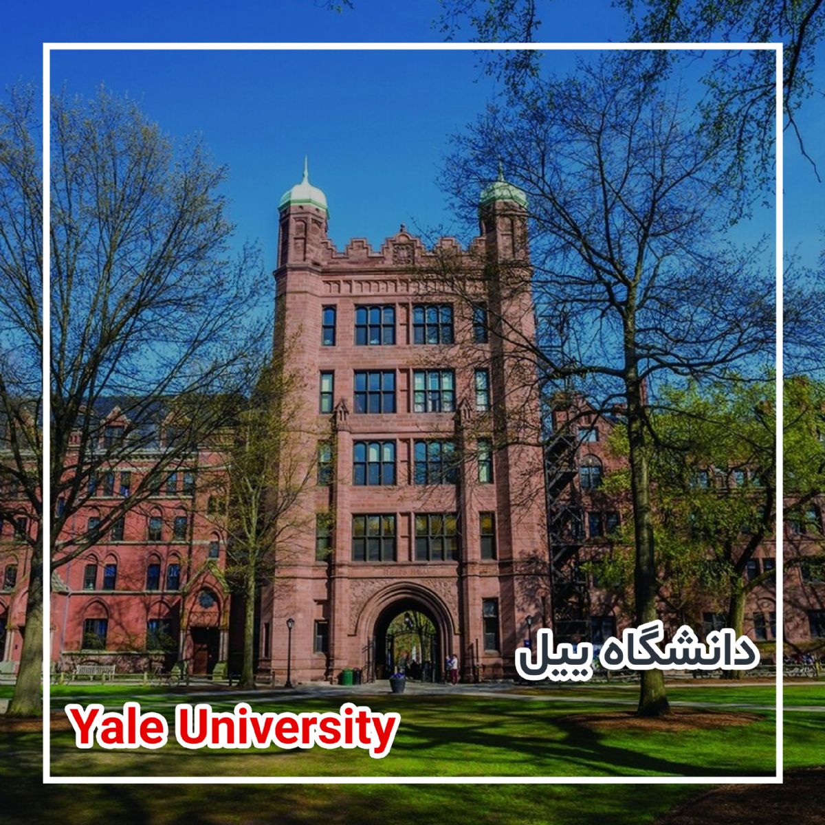 دانشگاه ییل - آمریکا